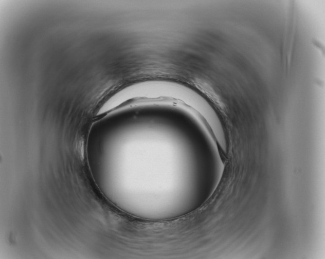 X0000095900021200801251234