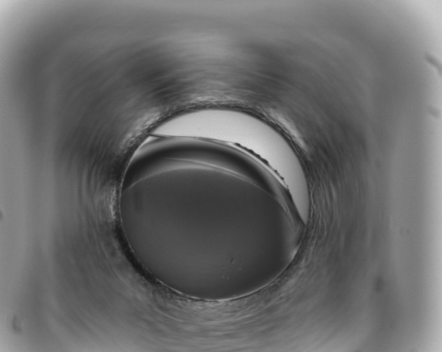 X0000095900023200801251234