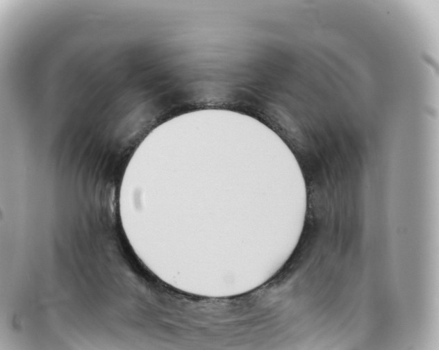 X0000095900024200801251234