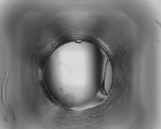 X0000095900025200801251234