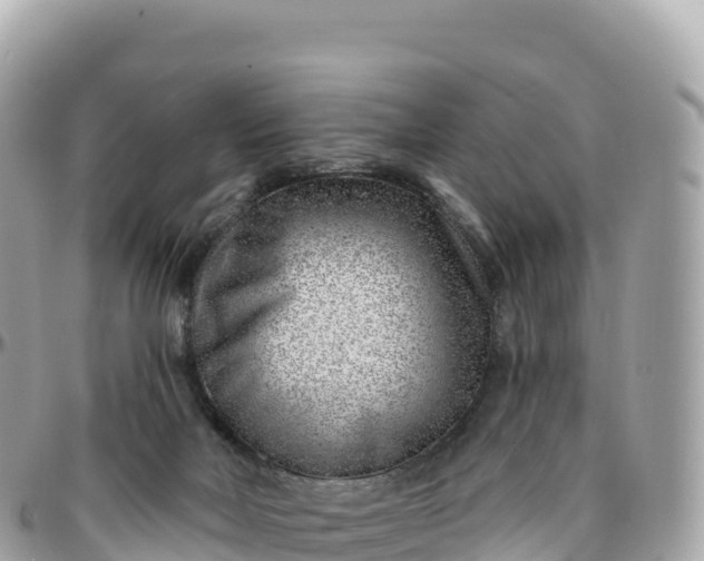 X0000095900026200801251234