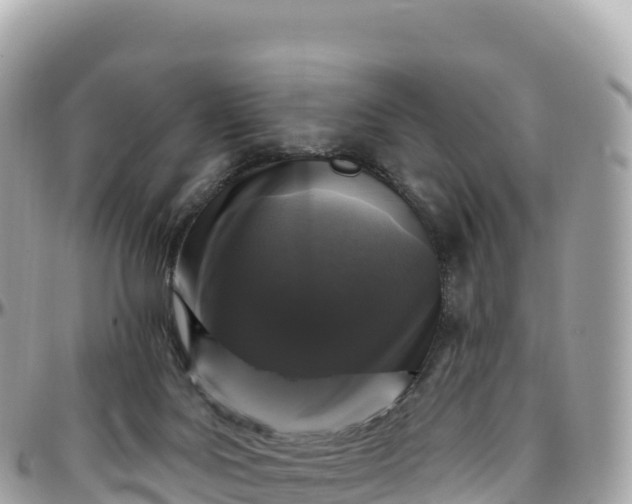 X0000095900027200801251234