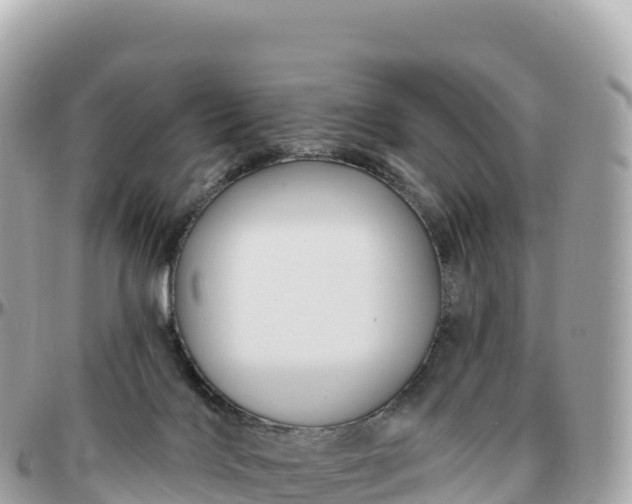 X0000095900028200801251234