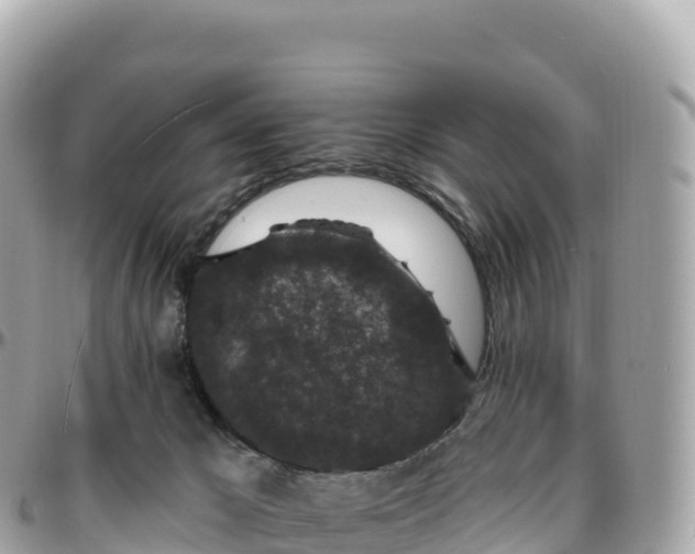 X0000095900029200801251234