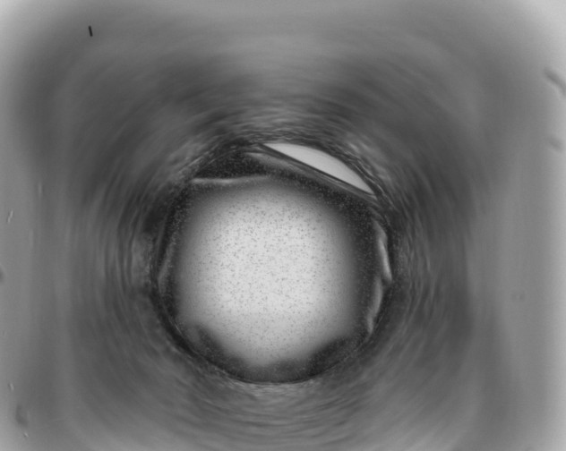 X0000095900030200801251234