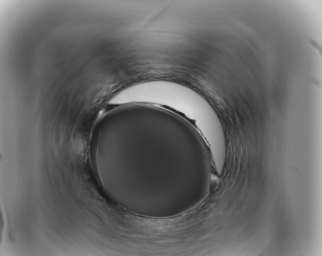 X0000095900031200801251234