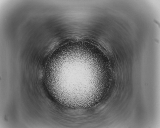 X0000095900032200801251234