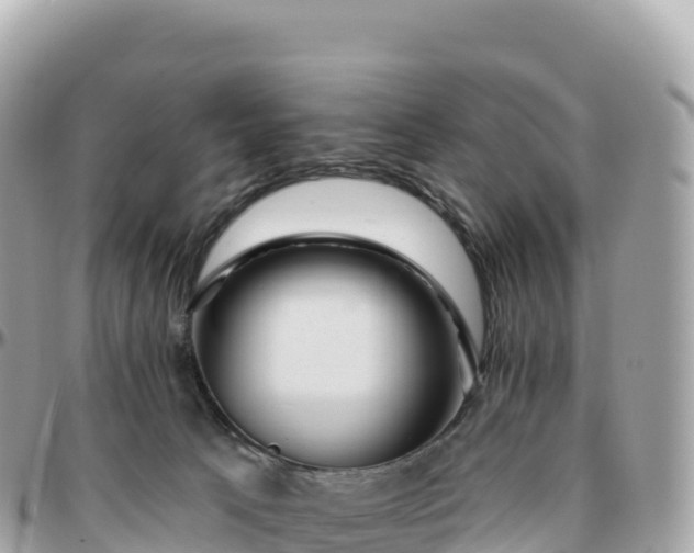 X0000095900033200801251234