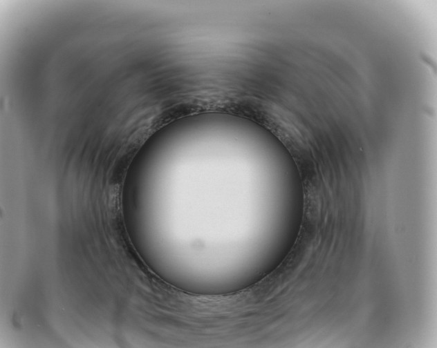 X0000095900034200801251234