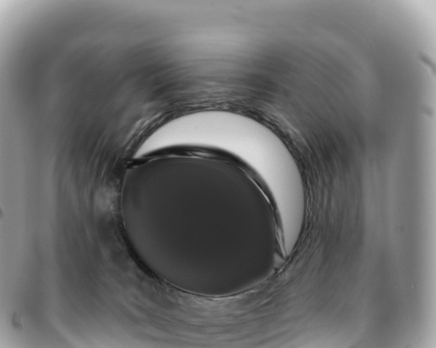 X0000095900035200801251234