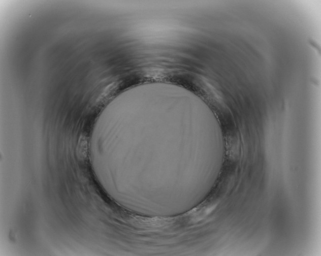 X0000095900036200801251234