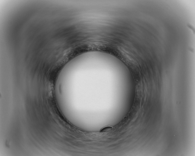 X0000095900038200801251234