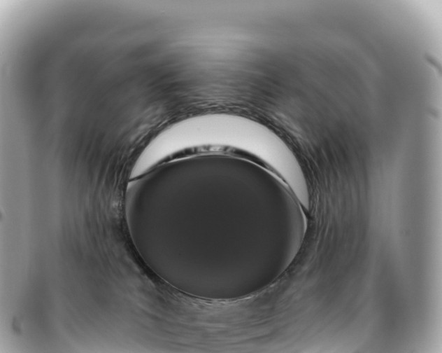 X0000095900039200801251234