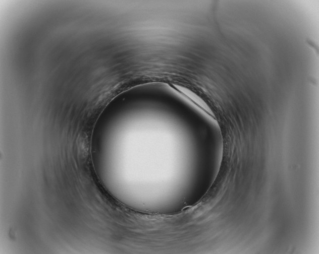 X0000095900040200801251234