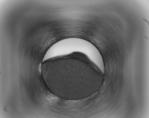 X0000095900041200801251234