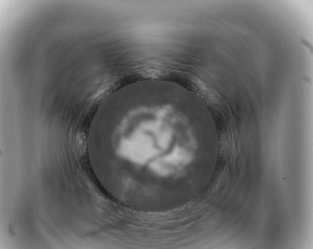 X0000095900043200801251234