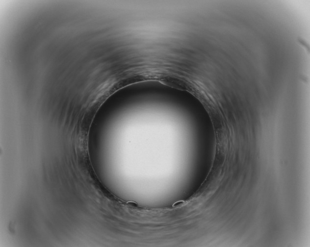 X0000095900044200801251234