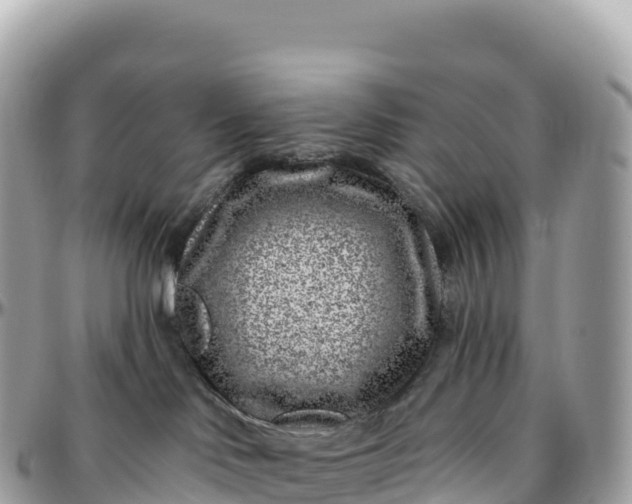 X0000095900046200801251234