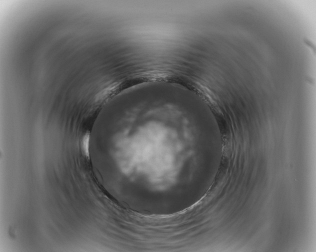 X0000095900047200801251234