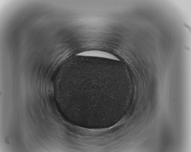 X0000095900048200801251234