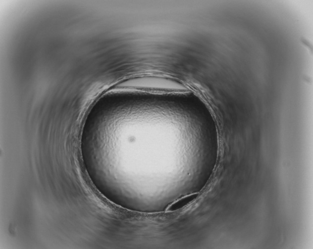 X0000095900049200801251233