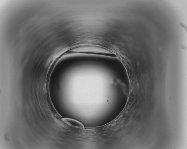 X0000095900050200801251233