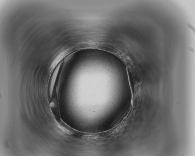 X0000095900051200801251233