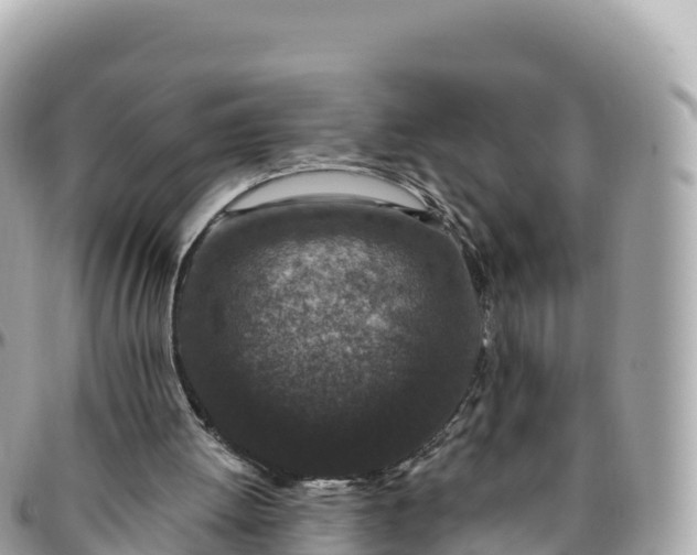 X0000095900052200801251233