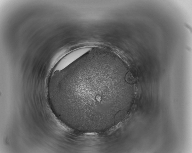 X0000095900053200801251233