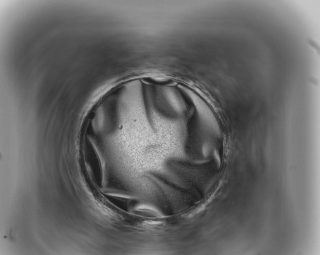 X0000095900055200801251233