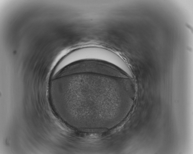 X0000095900056200801251233