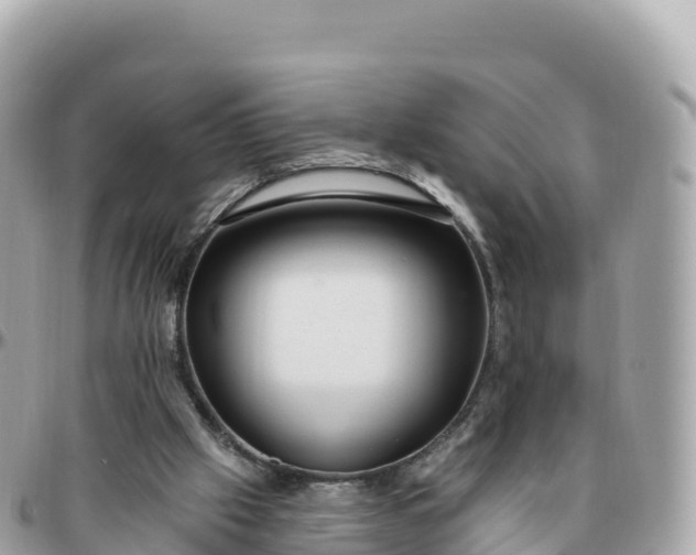 X0000095900057200801251233