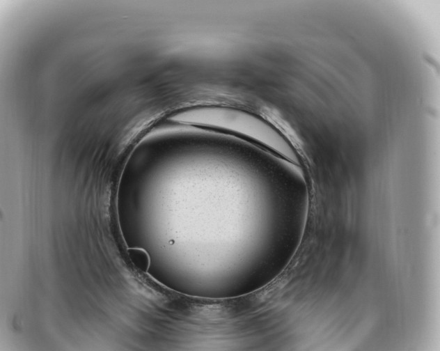 X0000095900058200801251233