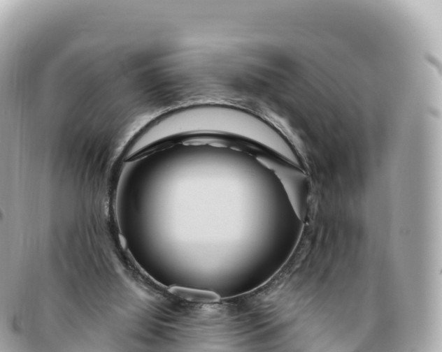 X0000095900060200801251233