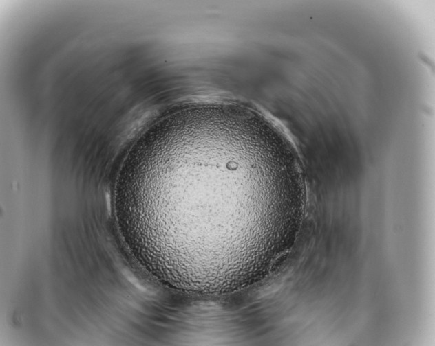 X0000095900061200801251233