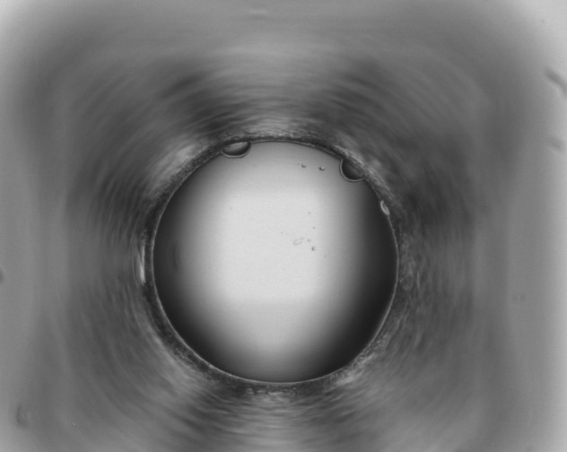 X0000095900062200801251233