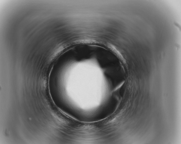 X0000095900063200801251233