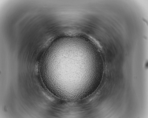 X0000095900065200801251233