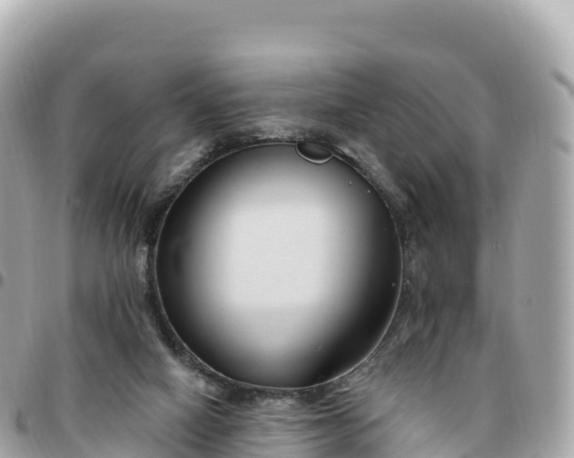 X0000095900066200801251233