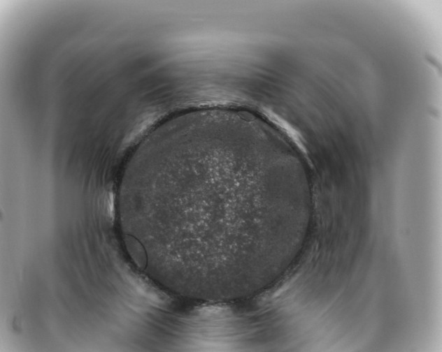 X0000095900067200801251233