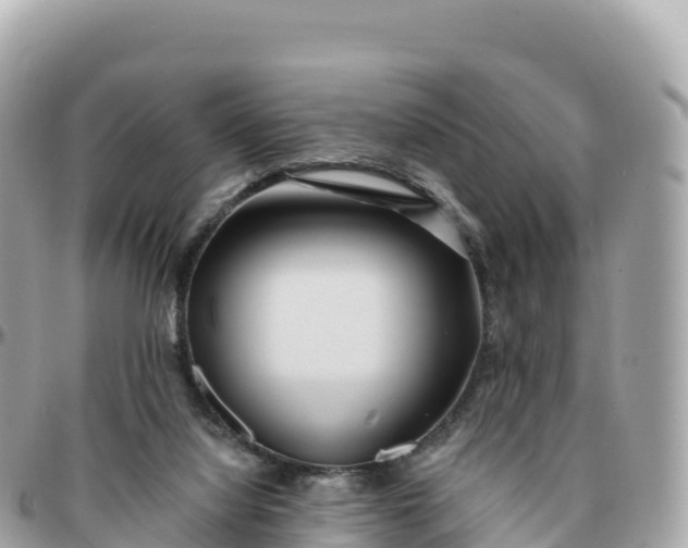 X0000095900068200801251233