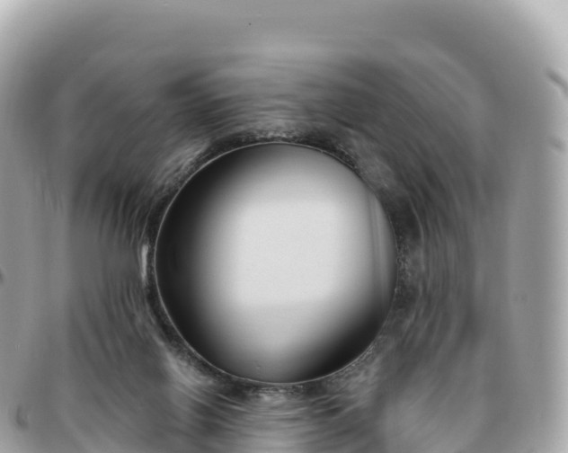 X0000095900070200801251233