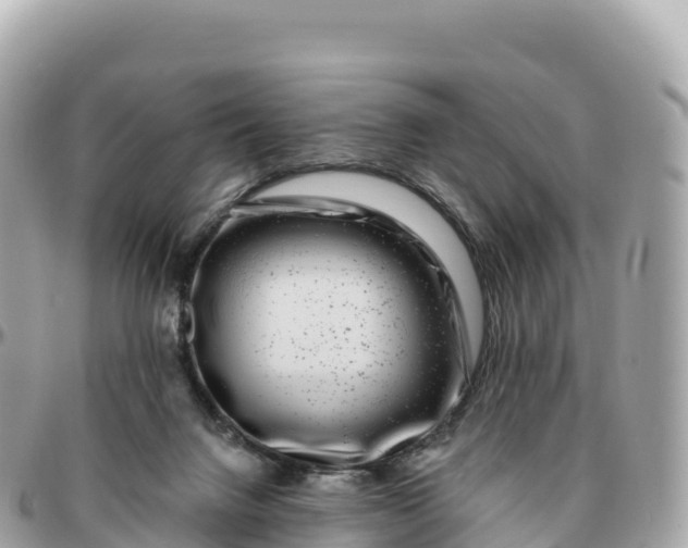 X0000095900072200801251233