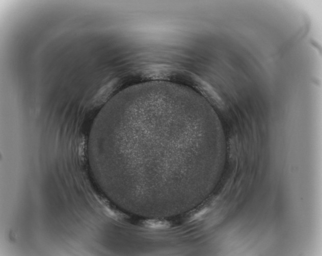 X0000095900073200801251233