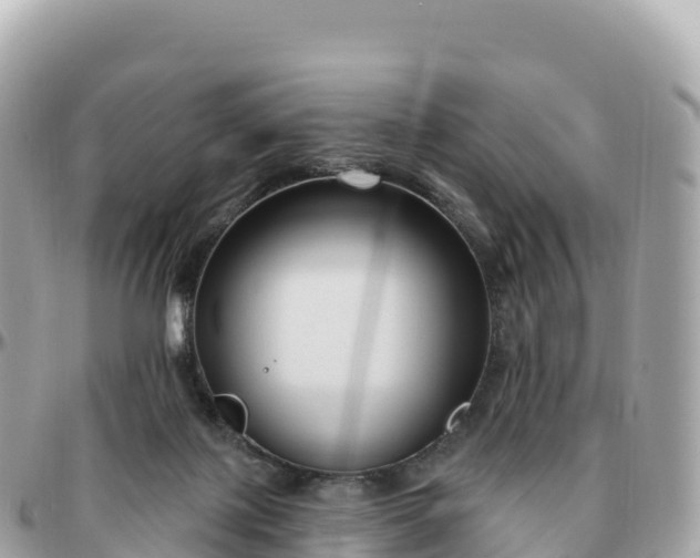 X0000095900075200801251233