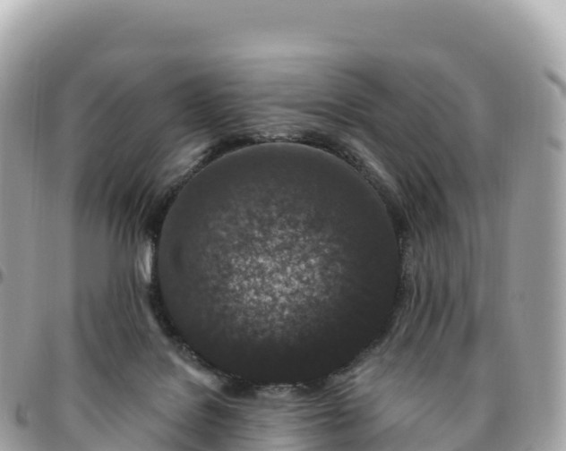 X0000095900076200801251233