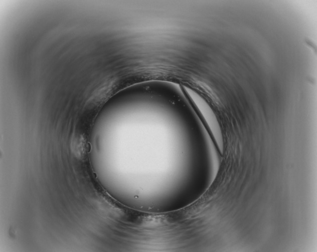 X0000095900077200801251233