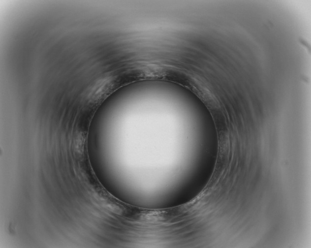 X0000095900078200801251233