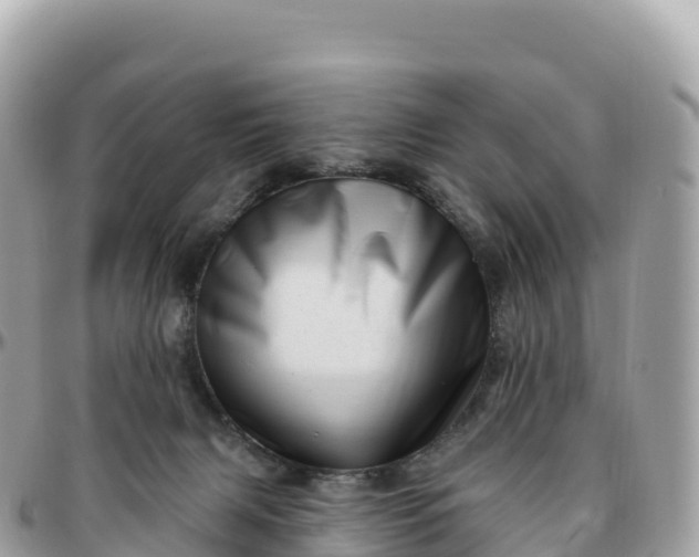 X0000095900079200801251233