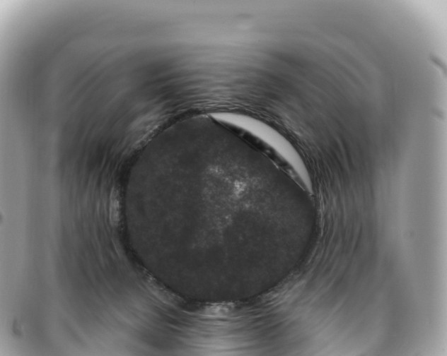 X0000095900080200801251233